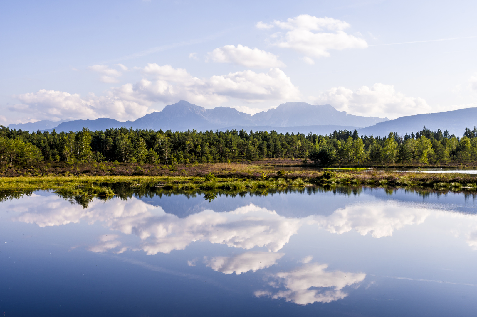 Schönramer Moor Foto & Bild landschaft, lebensräume, moor Bilder auf