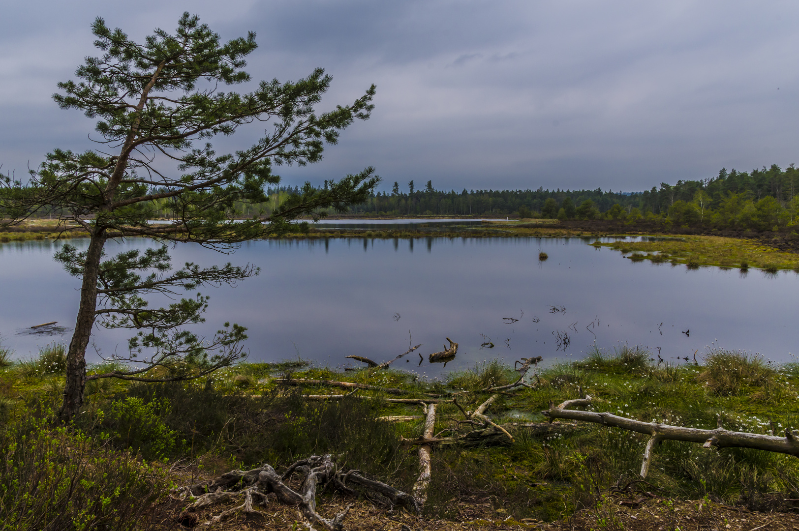 Schönramer Moor