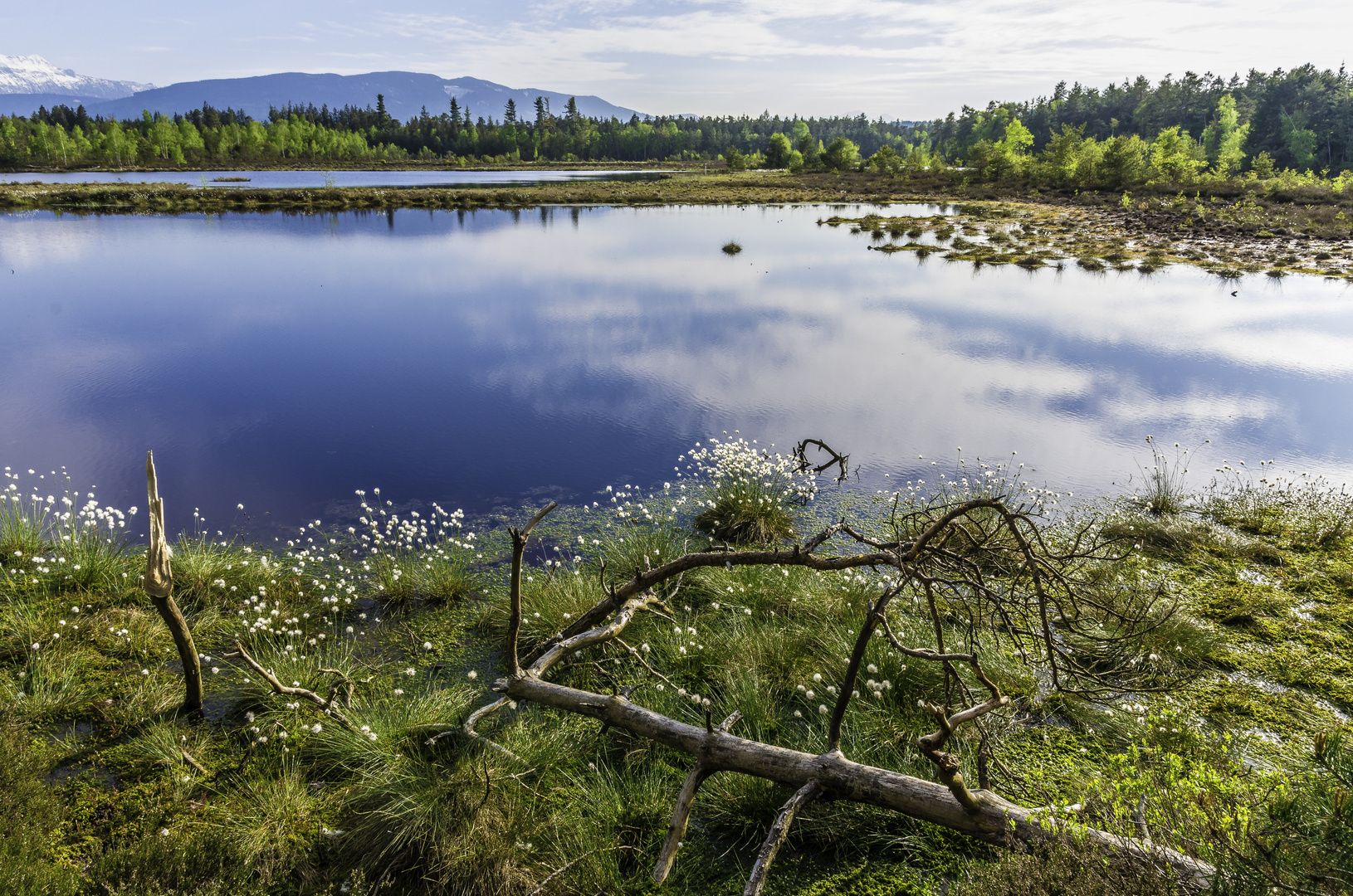 Schönramer Moor