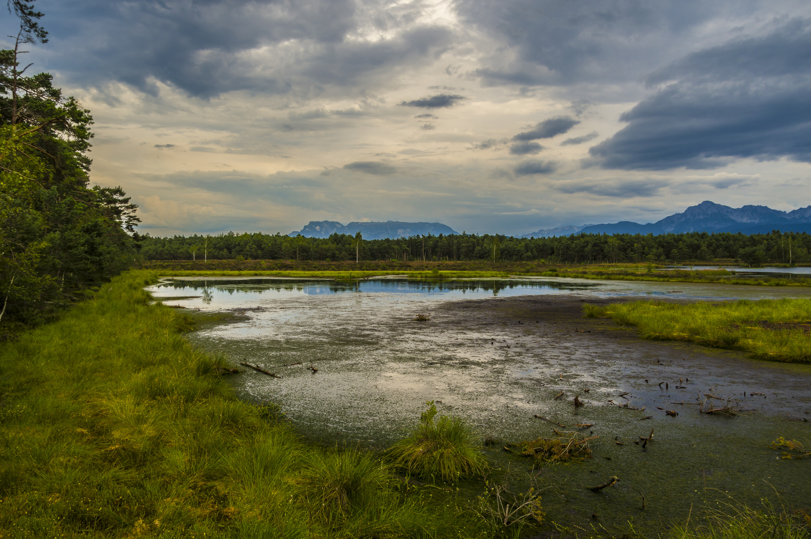 Schönramer Moor