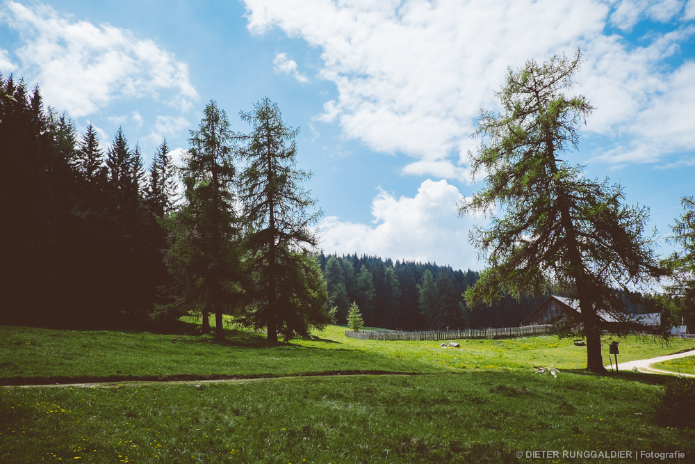 Schönrast Alm (Südtirol) #3