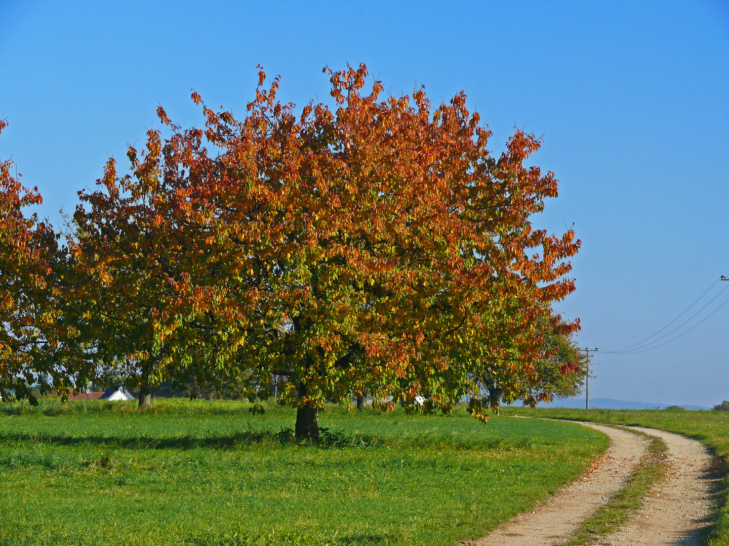 Schönste letzte Tage vor dem Winterschlaf...