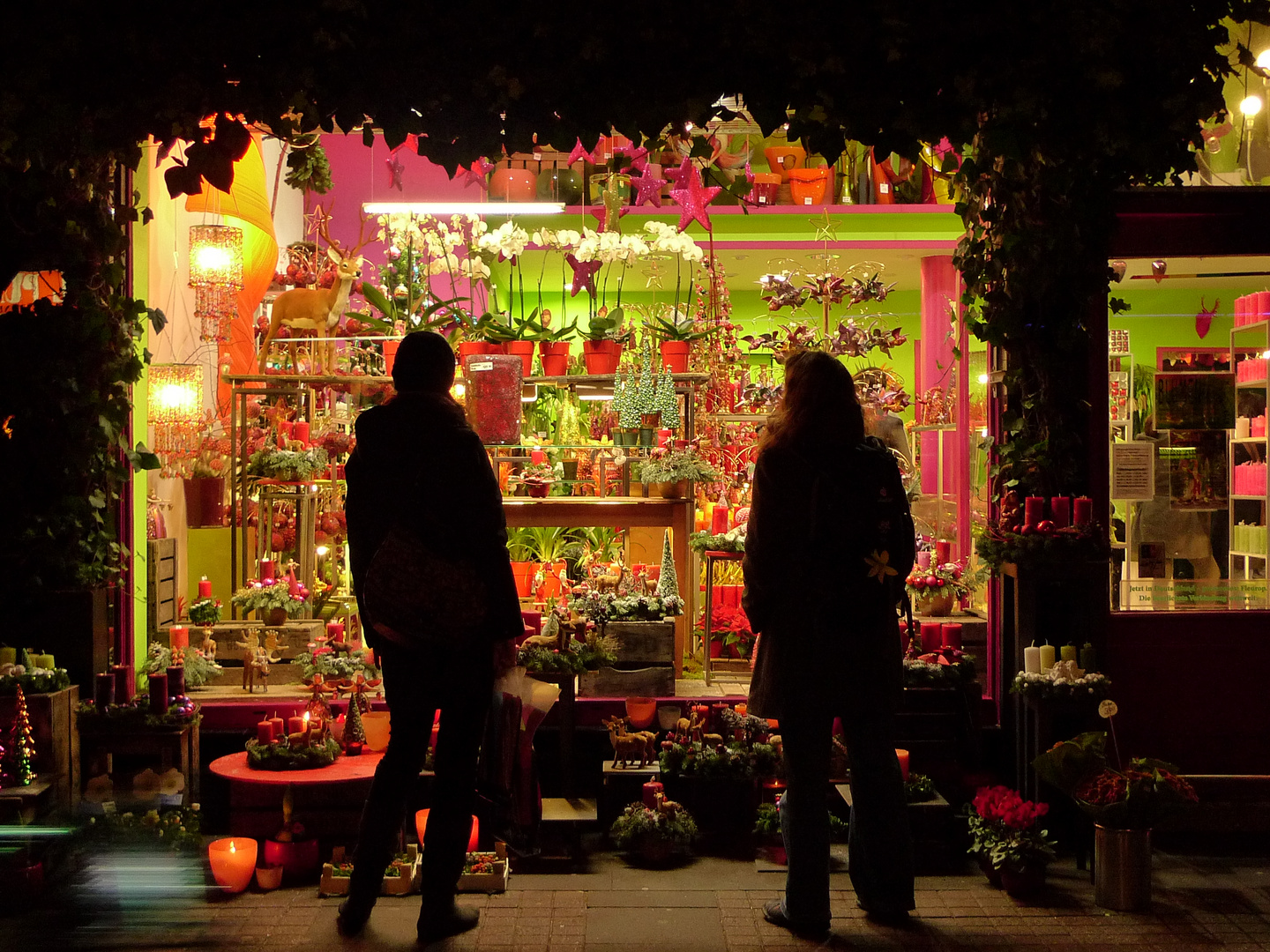 Schönster Blumenladen in Köln