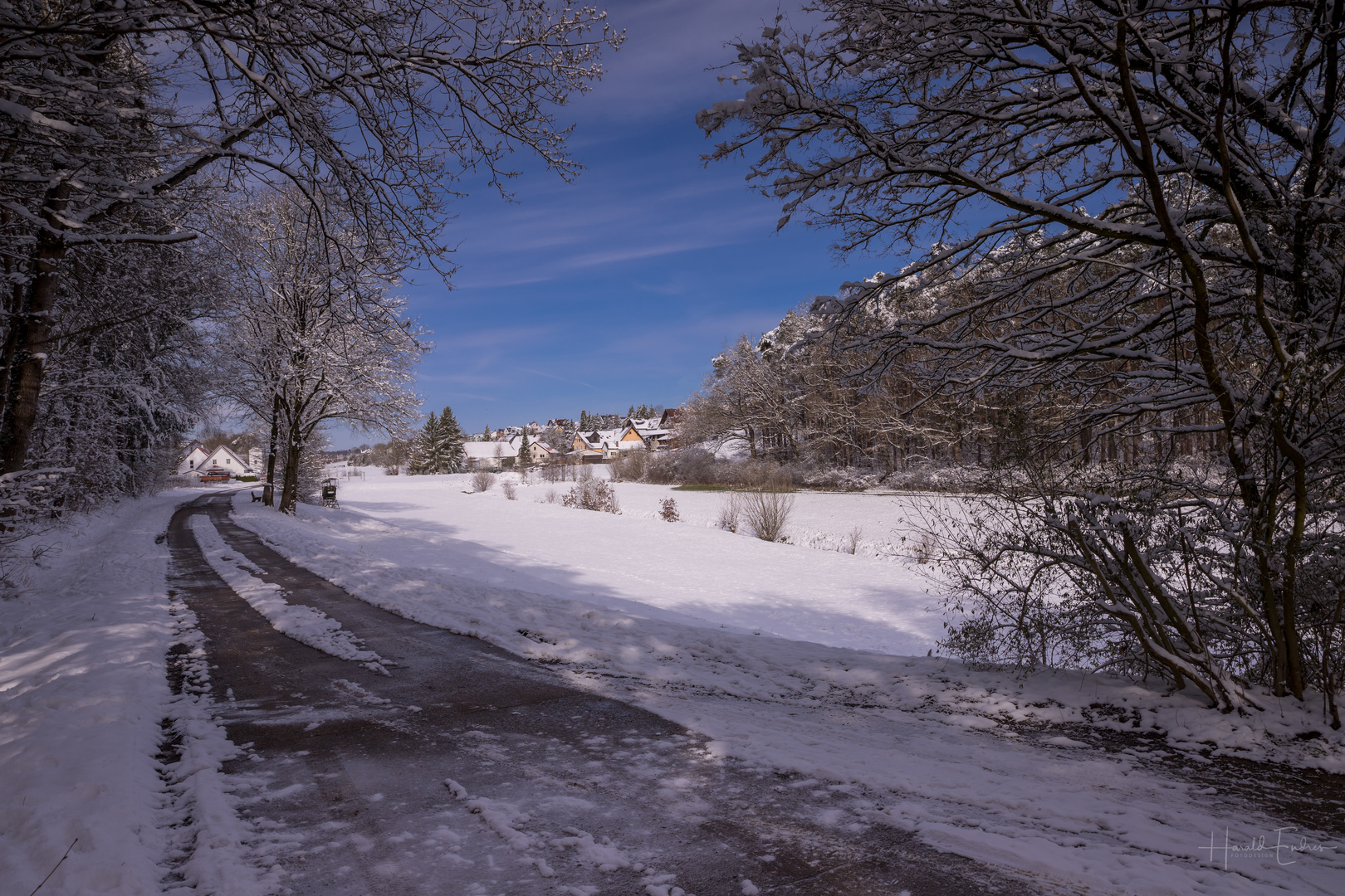 Schönster Winter