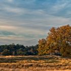 Schönstes Herbstwetter