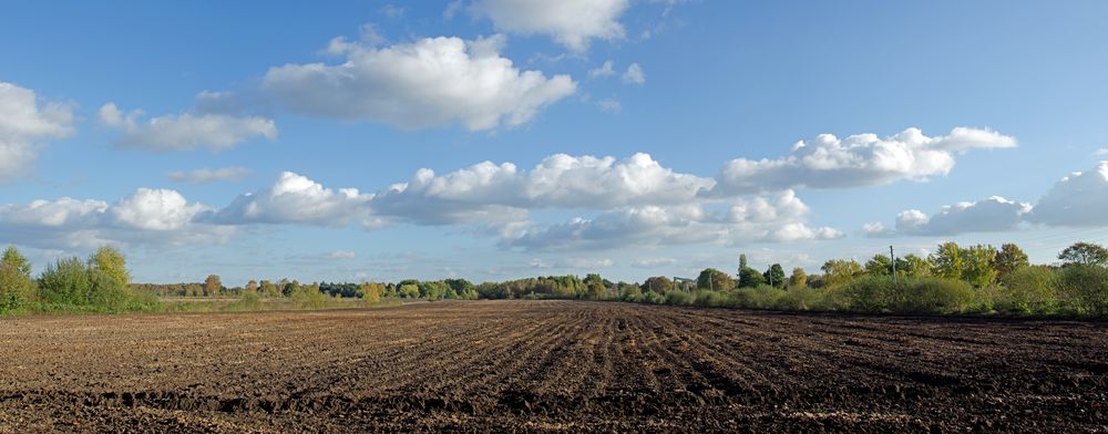 Schönstes Herbstwetter im Vechtaer Moor