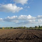 Schönstes Herbstwetter im Vechtaer Moor