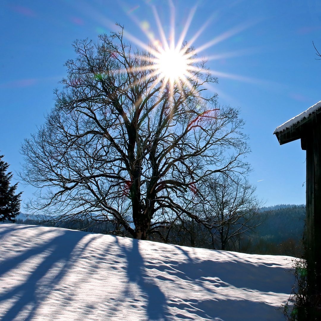 Schönstes Winterwetter ...