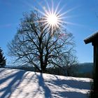 Schönstes Winterwetter ...