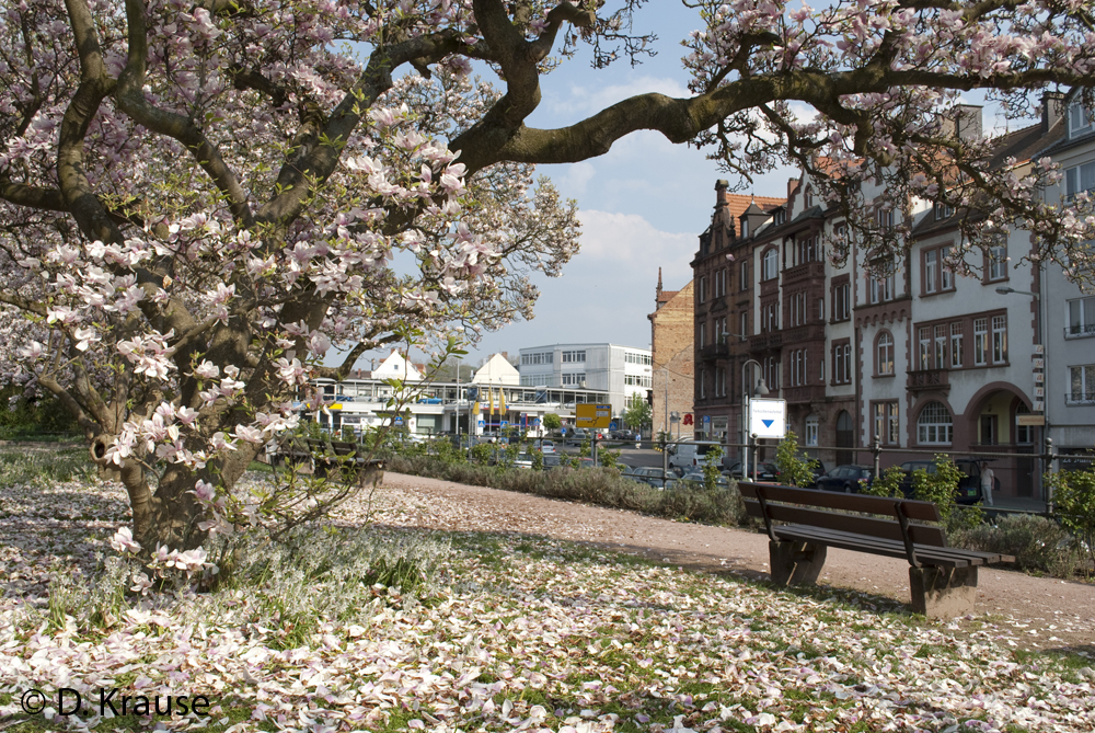 Schöntaler Aschaffenburg Schöntal Aschaffenburg Foto & Bild | jahreszeiten, frühling, meine