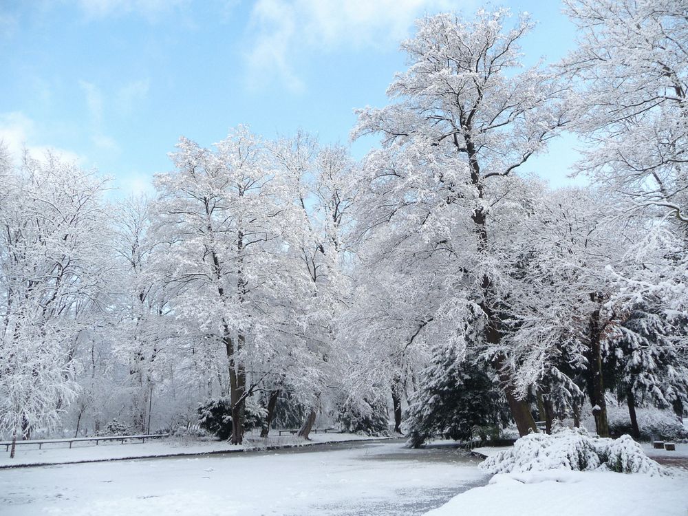 Schöntal im Schnee