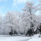 Schöntal im Schnee