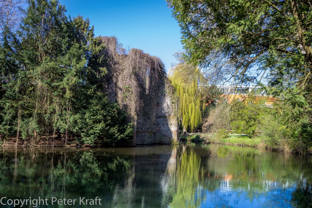 Schöntaler Aschaffenburg Schöntal in Aschaffenburg Foto & Bild | jahreszeiten, frühling, natur