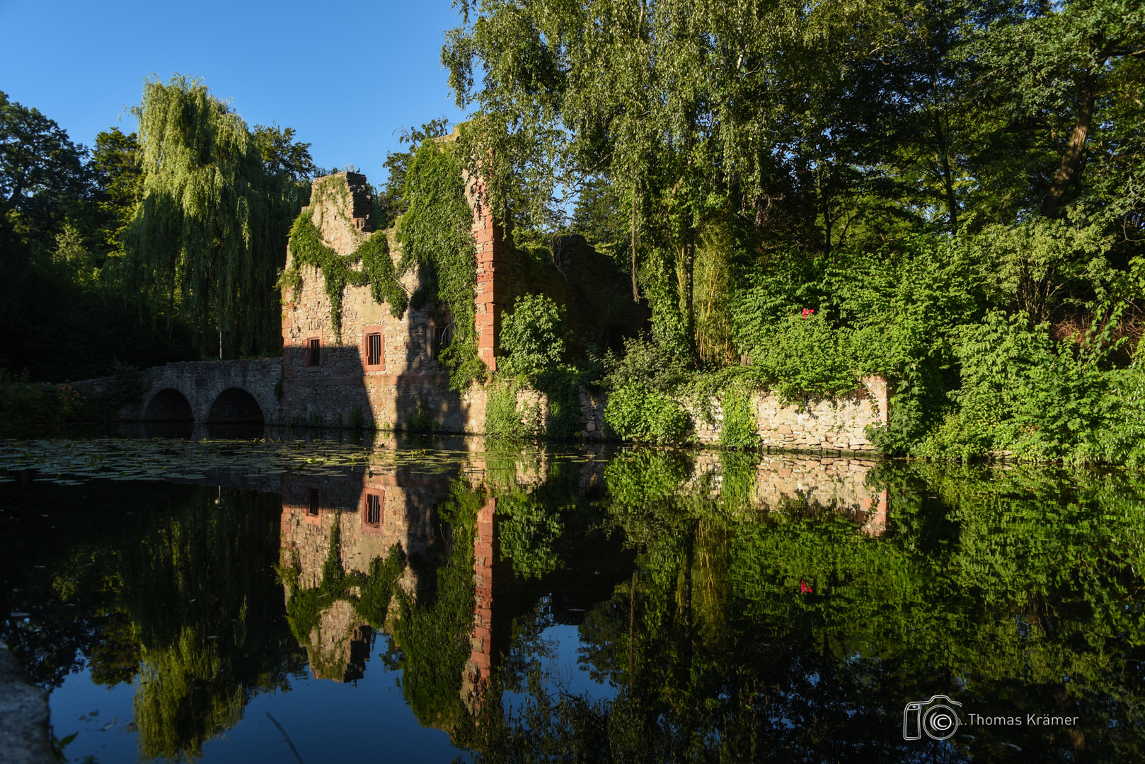 Schöntal Park in der Abendsonne D75_5585