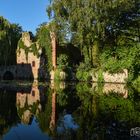 Schöntal Park in der Abendsonne D75_5585