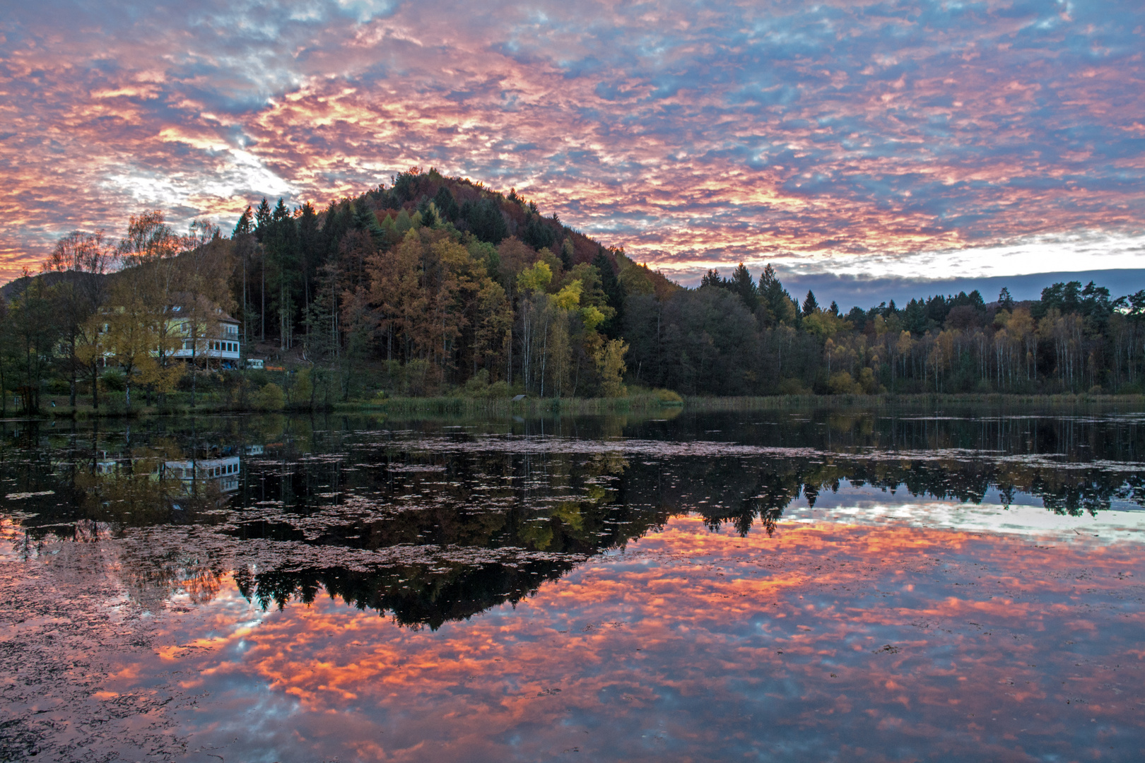 Schöntalweiher Sonnenuntergang DSC_0001