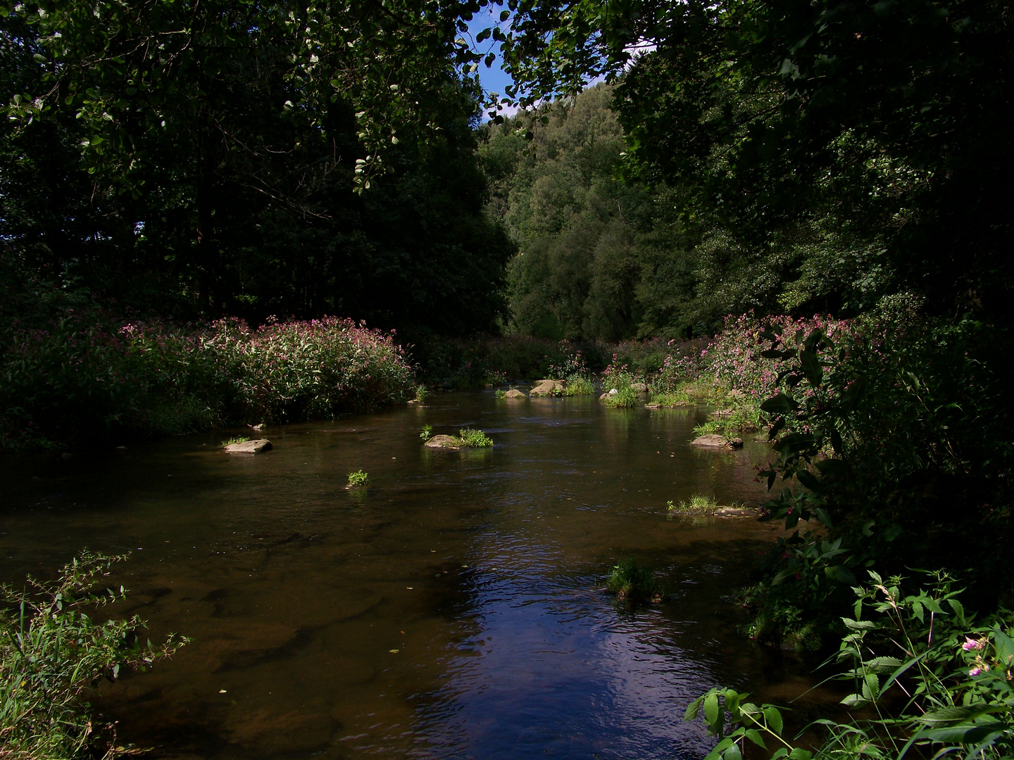 Schönthal