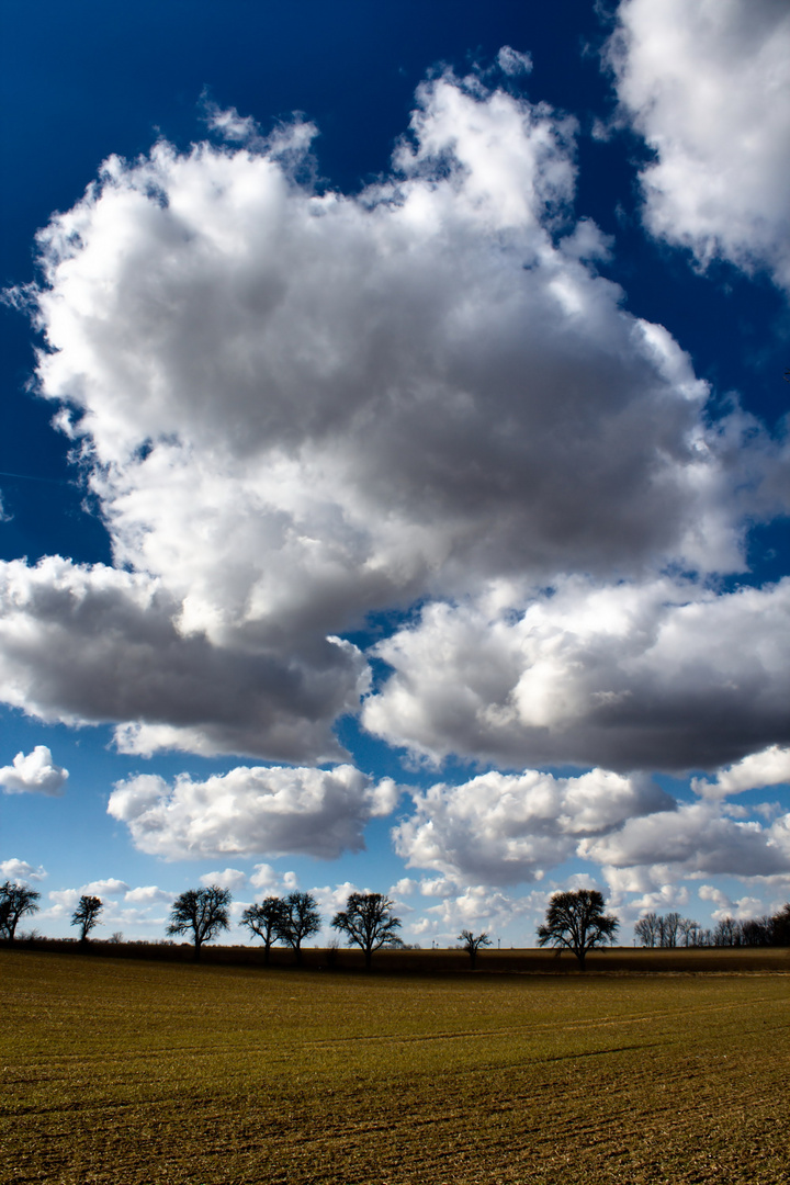 Schönwetter