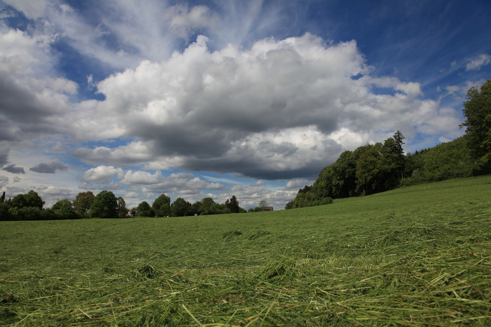 Schönwetter Wolke