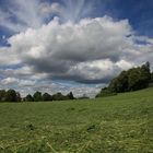 Schönwetter Wolke