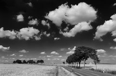 Schönwetter-Wolken