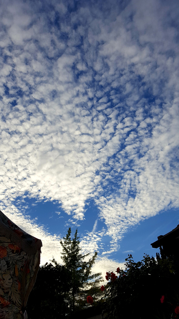 Schönwetter Wolken 