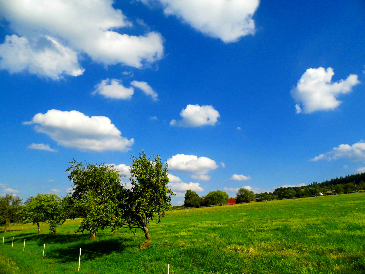 Schönwetter Wolken