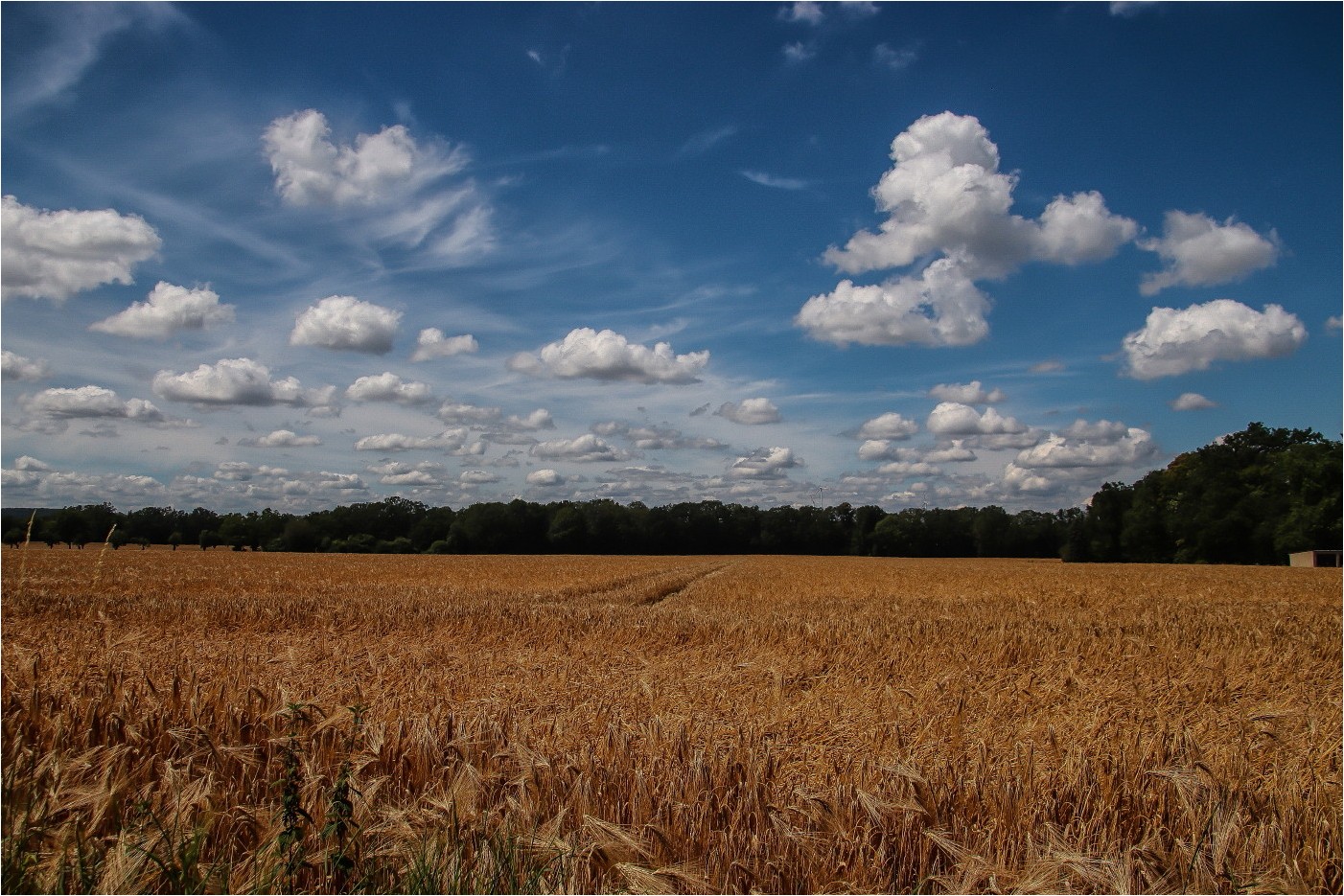 Schönwetterfoddo