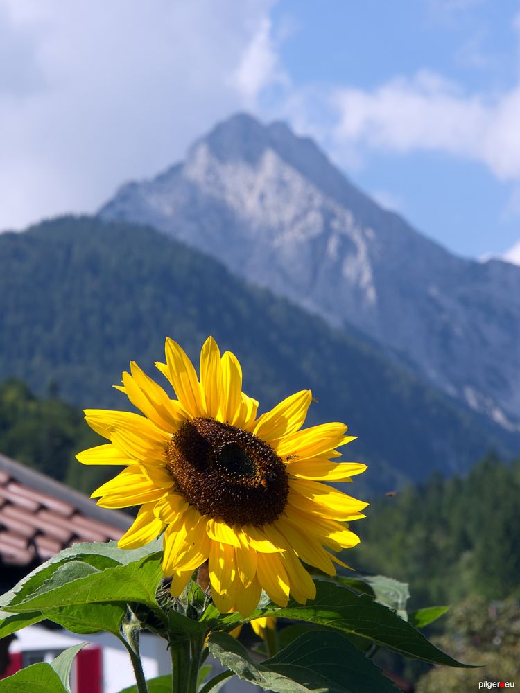 Schönwetterfoto