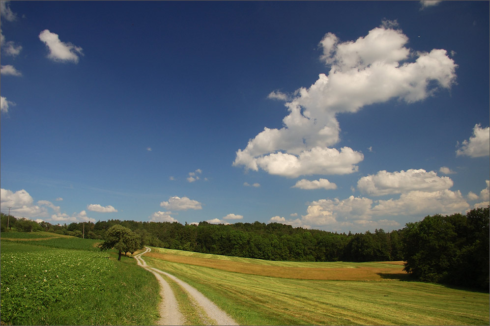 Schönwetterszene