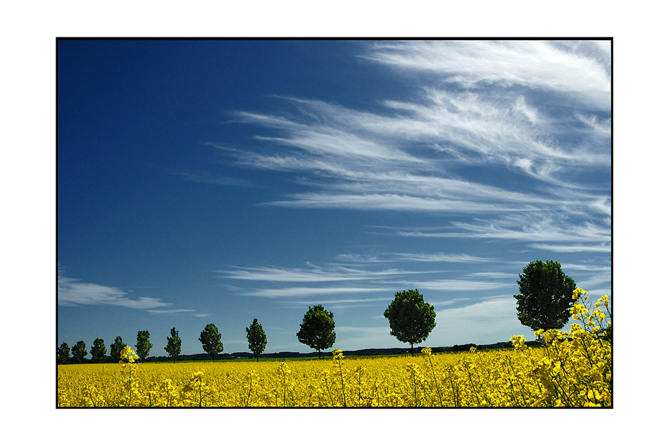 schönwetterszene