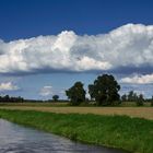 Schönwetterwolke :O)