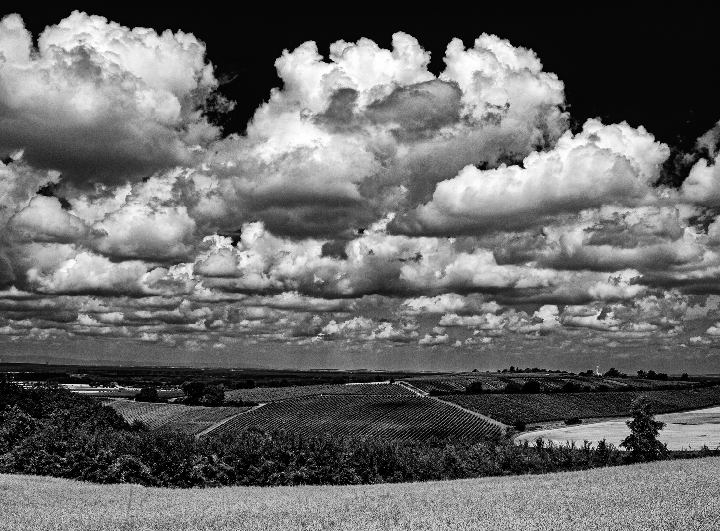 Schönwetterwolken