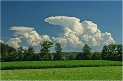 Schönwetterwolken