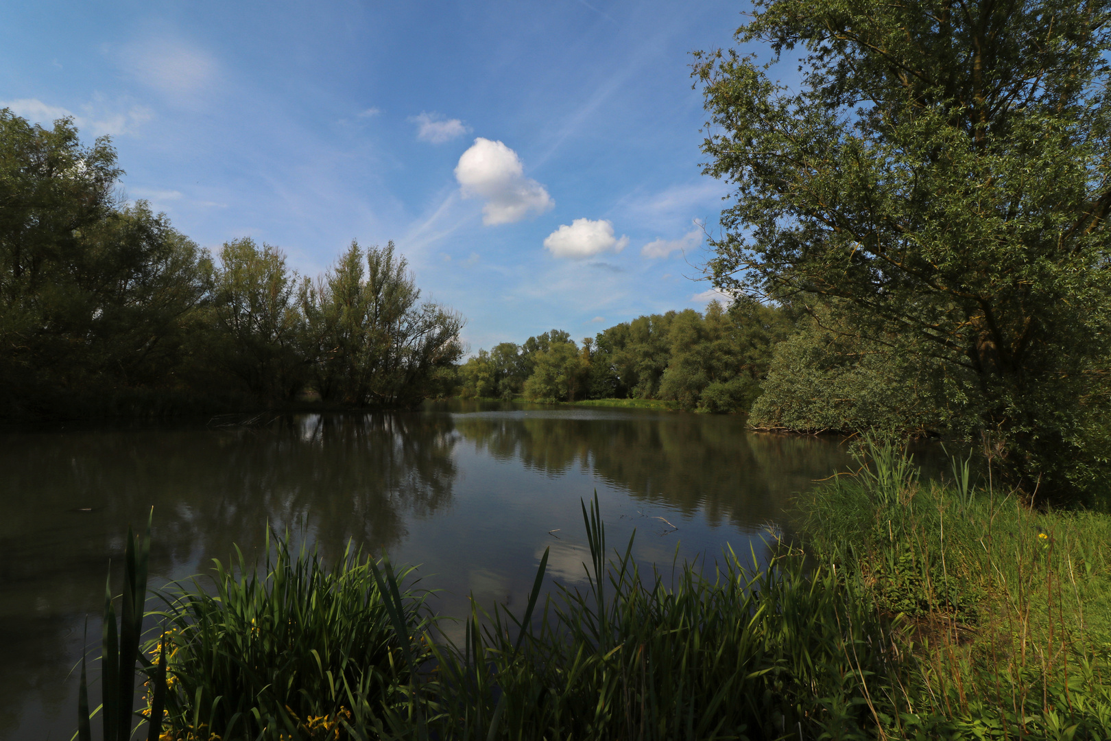 Schönwetterwolken