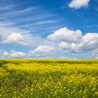 Schönwetterwolken