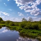 Schönwetterwolken