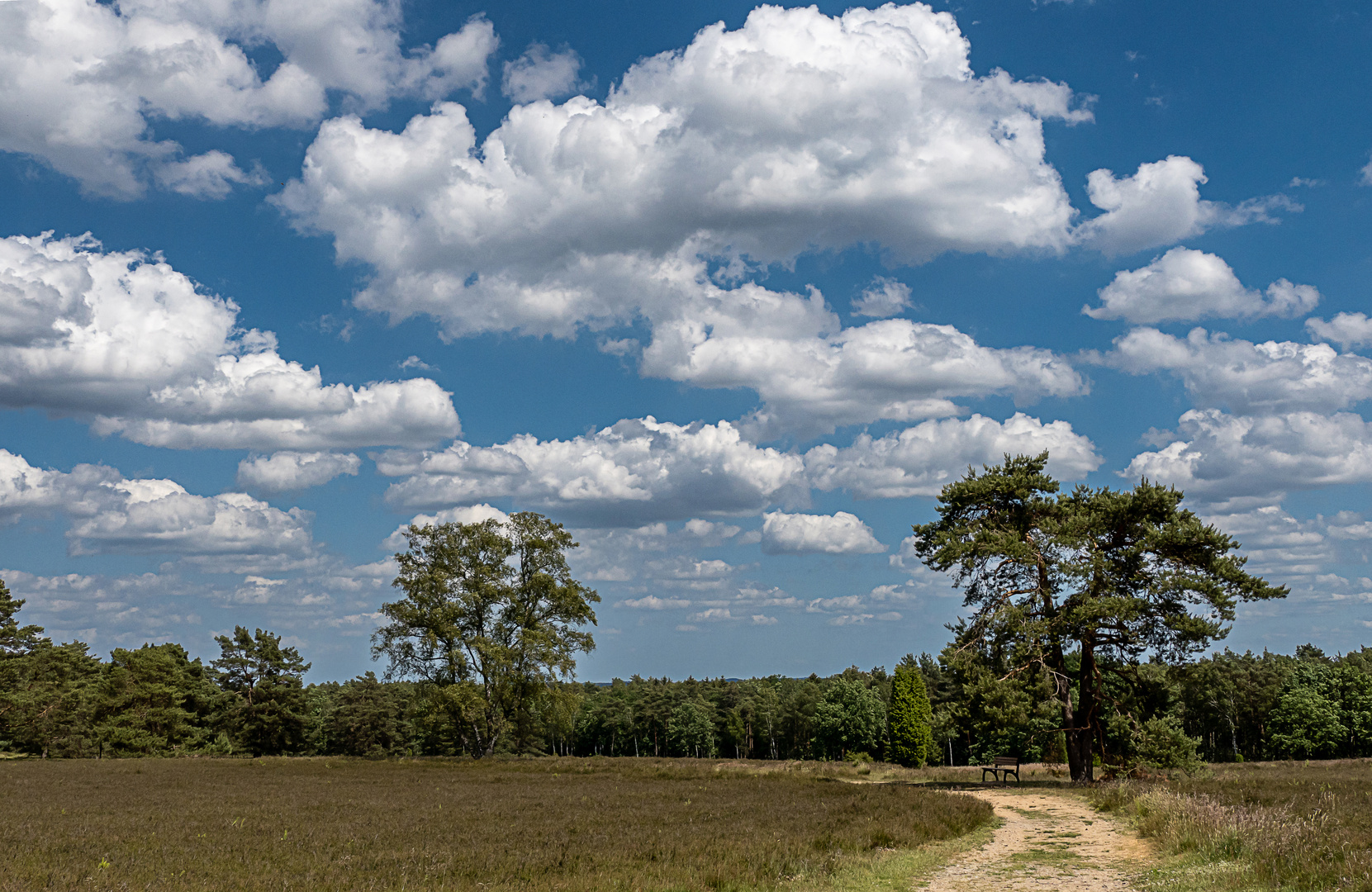 Schönwetterwolken