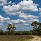 Schönwetterwolken