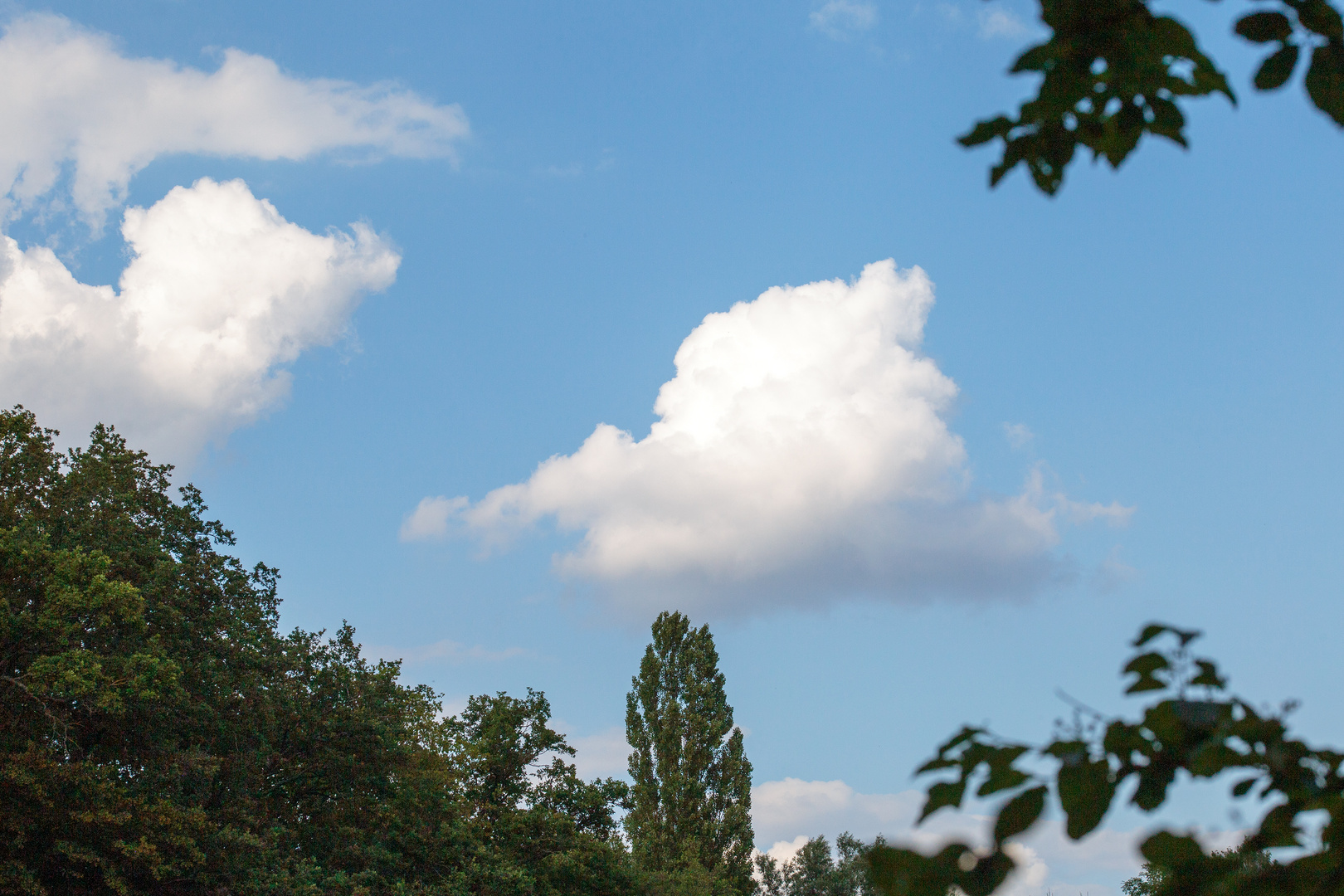 Schönwetterwolken über dem Zeuterner See