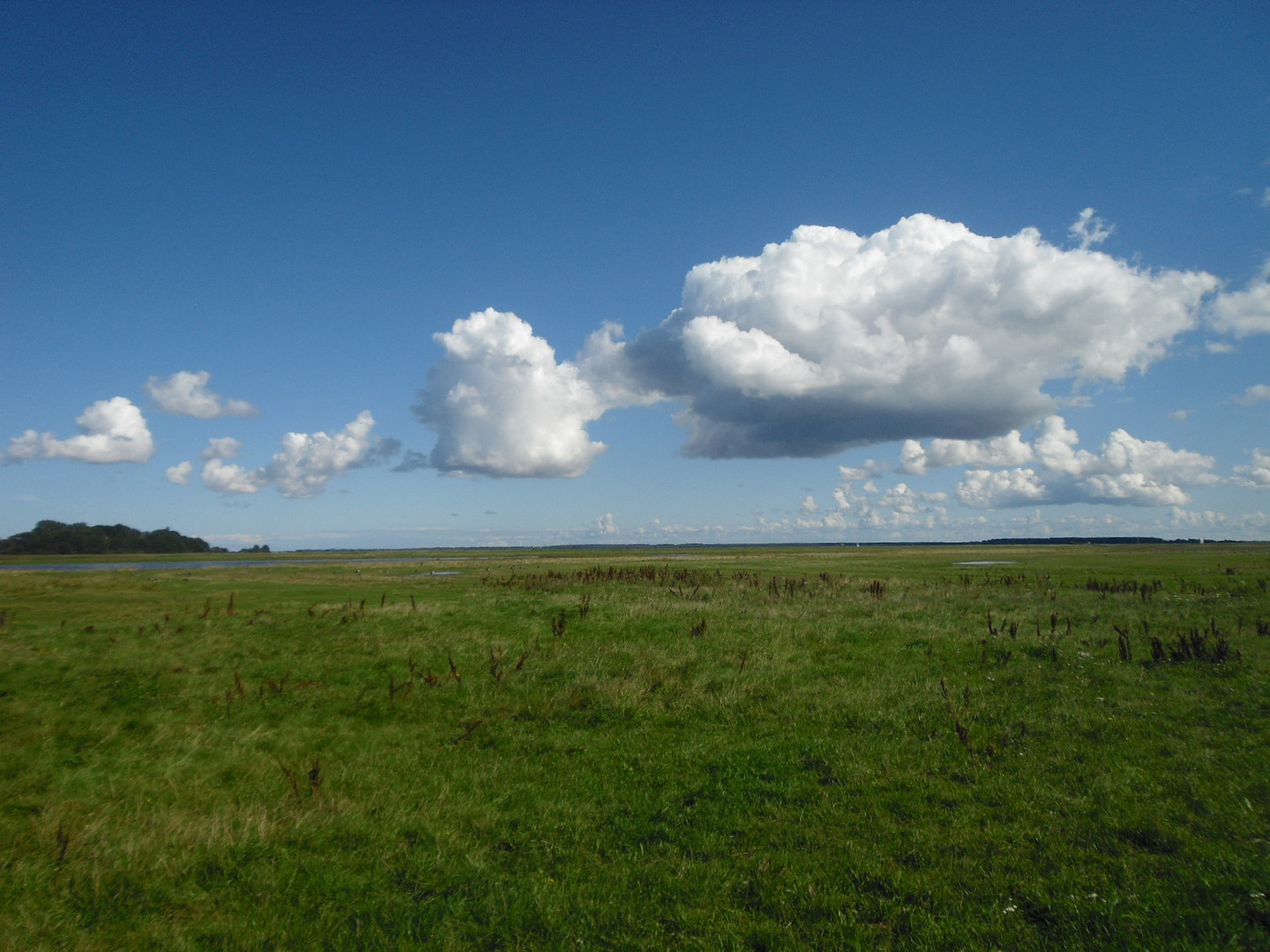 Schönwetterwolken über der Insel