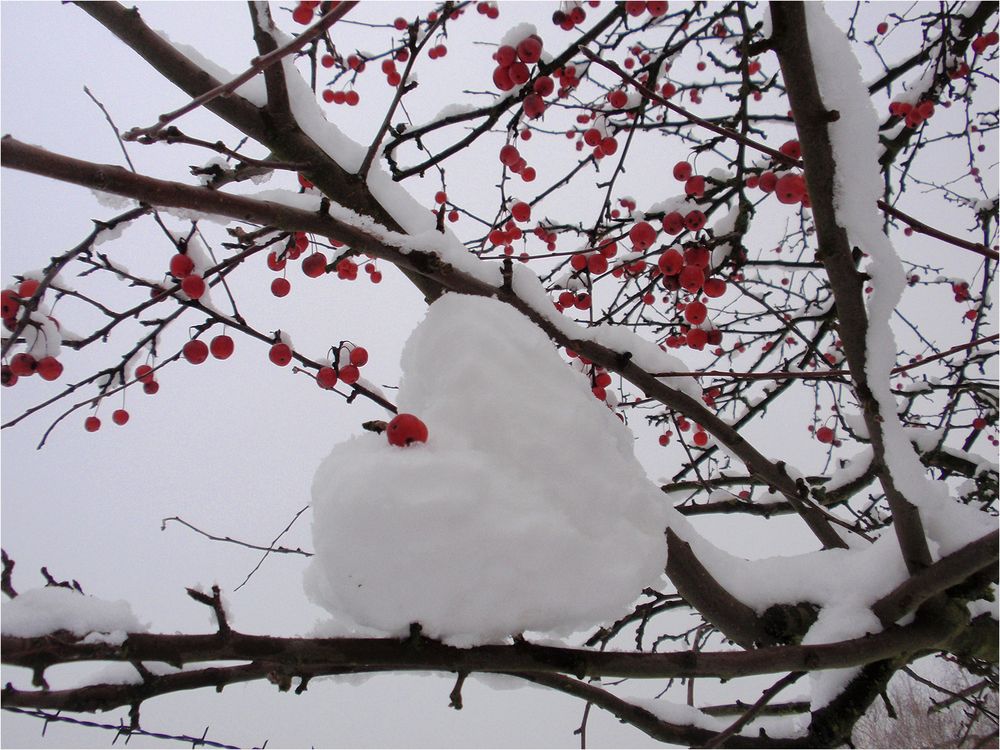 Schön_Winterlich_gewesen.