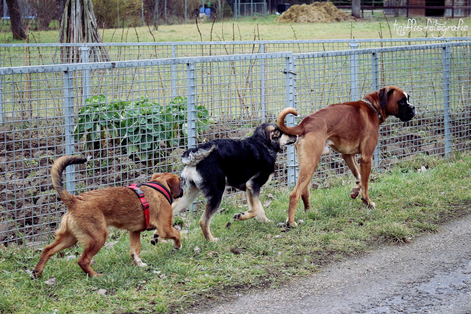 schööön in der reihe