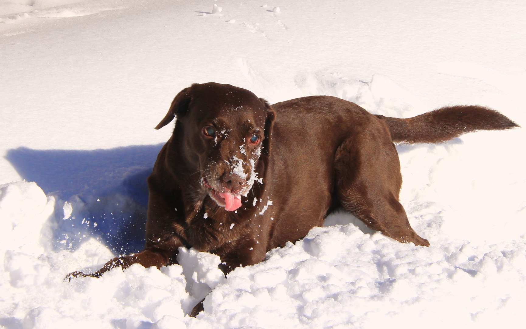 schokofleck im schnee