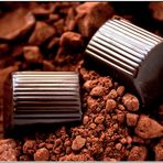 . Schokolade ist ein Grundnahrungsmittel .