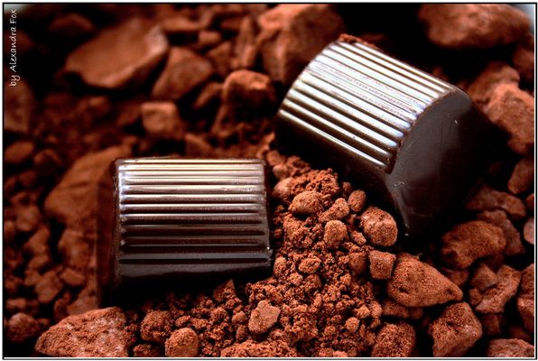 . Schokolade ist ein Grundnahrungsmittel .