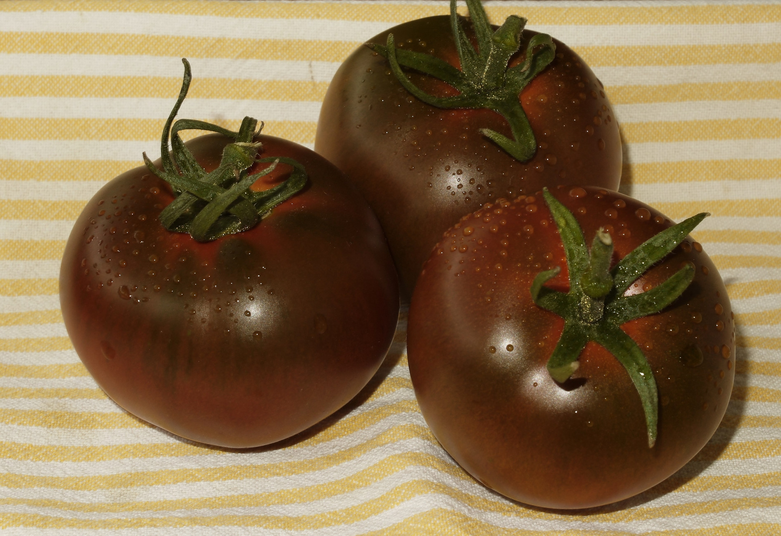 Schokoladen - Tomato´s / Gartenfrisch gepflückt......lecker!