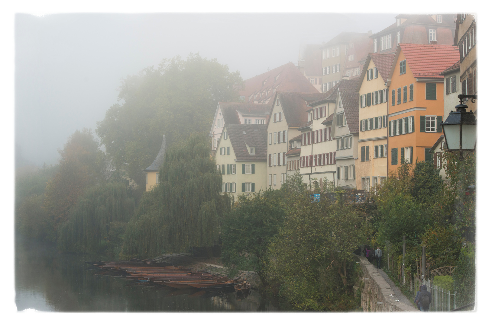 Schokoladenseite im Nebel