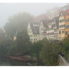 Schokoladenseite im Nebel