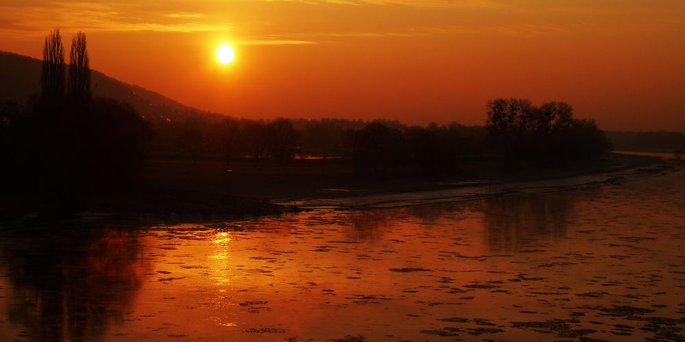 Schollen im Fluss